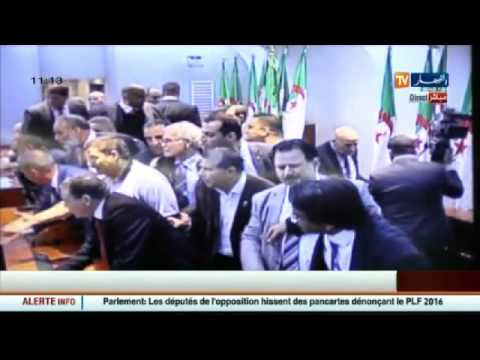 شاهد شجار عنيف بين نساء ورجال تحت قبة البرلمان الجزائري