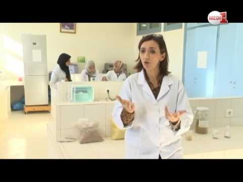 تعرف على استخدامات القنب الهندي