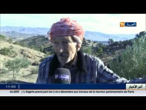 شاهد هاجس يؤرق سكان دائرة منصورة
