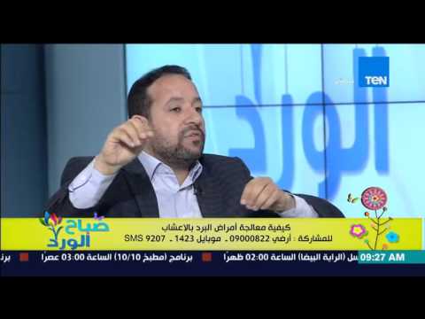 شاهد وصفة لزيادة التبويض عند السيدات والحيوانات المنوية للرجال