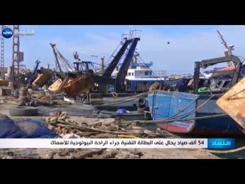 54 ألف صياد يحال على البطالة التقنية ويطالبون بمنحة في الجزائر