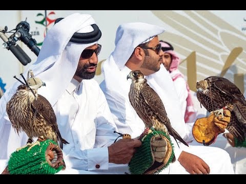 الصقور تحلق عاليًا في بطولة فزاع للصيد بالصقور