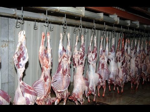 فيديو الحرب وطمع الموردين يسبّبان ارتفاع أسعار اللحوم في سورية