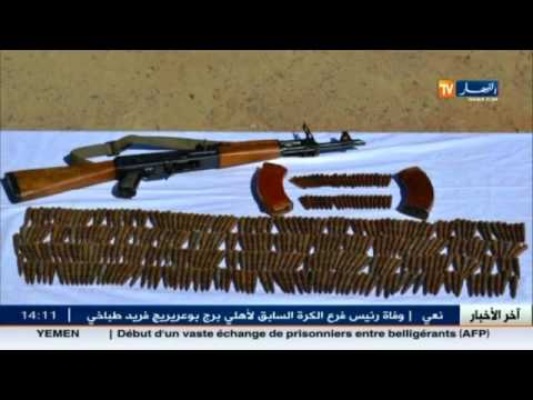 بالفيديو توقيف 14 مهربًا واسترجاع ذخيرة في تمنراست