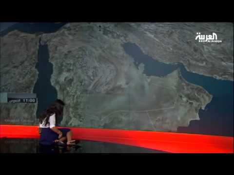 مذيعة العربية تسقط أرضًا خلال تقديم النشرة الجويّة