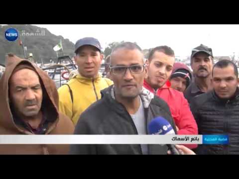 عنابة  يؤكد أن أسماك مجمدة مستوردة غير صالحة للاستهلاك تباع في الميناء