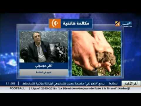 شاهد خبير فلاحي ينصح باتخاذ تدابير لمواجهة أزمة الجفاف الأشهر المقبلة