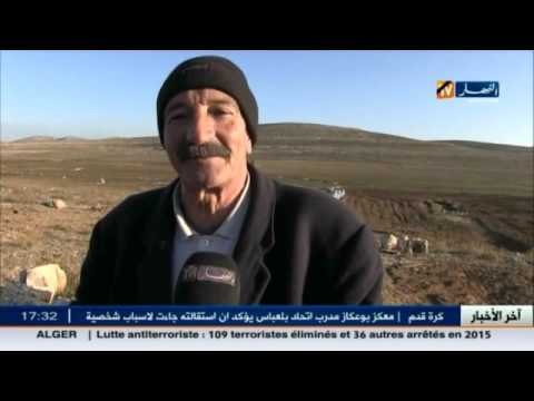 شاهد آخر اخبار المجتمع