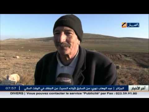 فيديو تعرف على أبرز أخبار الجزائر المحلية