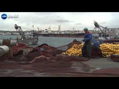 الحكومة الجزائرية  تسطر برنامجا لدعم الصيد البحري