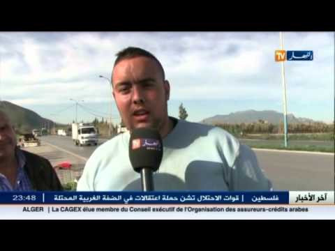 الدجاج العربي أهم ما يميز الاحتفال بكانون الثاني في منطقة القبائل