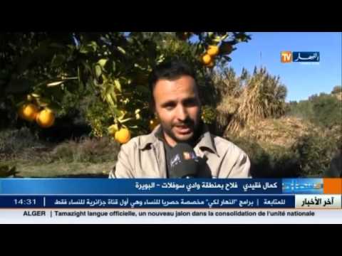 وادي سوفلات ثروة في انتاج الحمضيات تحتاج للدعم