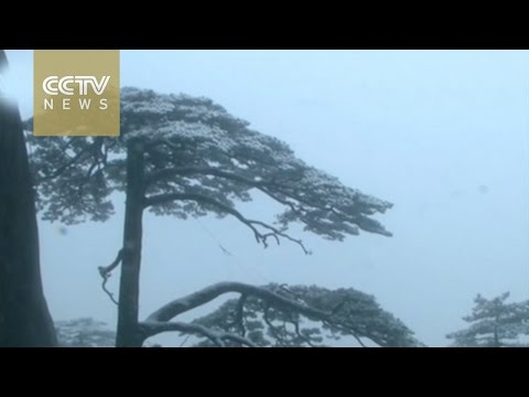 شاهد جبل صيني يشبه بلاد العجائب