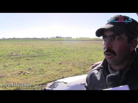 شاهد نشاط الفلاحين بعد التساقطات الأخيرة