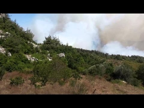 60 قتيلًا من قوات الجيش السوري عند مداخل مدينة سلمى في اللاذقية