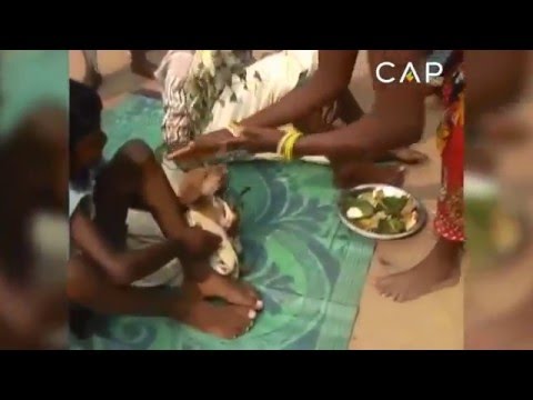 بالفيديو إجبار طفل على الزواج من كلب ضال في الهند