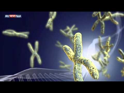 شاهد أمل جديد لمرضى التصلب اللويحي المتعدد