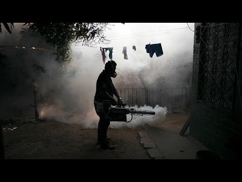 شاهد حلول عدة للوقاية من فيروس زيكا