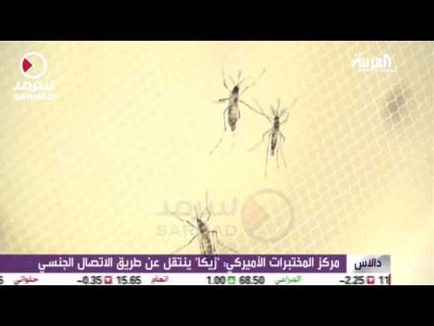 بالفيديو هل ينتقل فيروس زيكا عبر العلاقات الحميمية