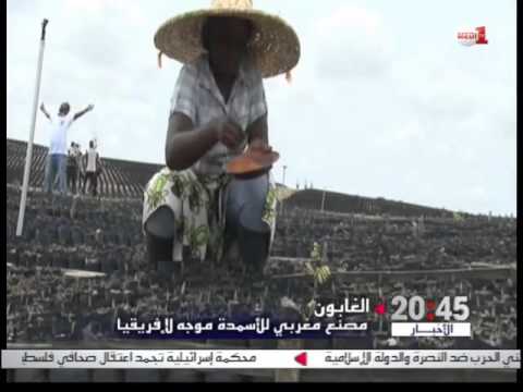 فيديو تشييد مصنع الأمونيا في الغابون يعزز تعاون جنوب جنوب