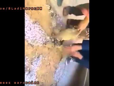 فيديو مواطنون يفضحون الغش في مشاريع البنية التحتية