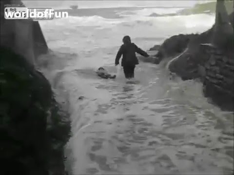 بالفيديوفيل هائج يطيح بالمنازل في الهند