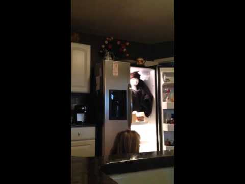 شاهد زوج يبدع في خوف زوجته فيضع مانيكان في الثلاجة