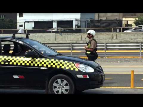 شاهد شرطى مرور في بيرو يغلق الطريق السريع لينقذ قطةشاهد شرطى مرور في بيرو يغلق الطريق السريع لينقذ قطة