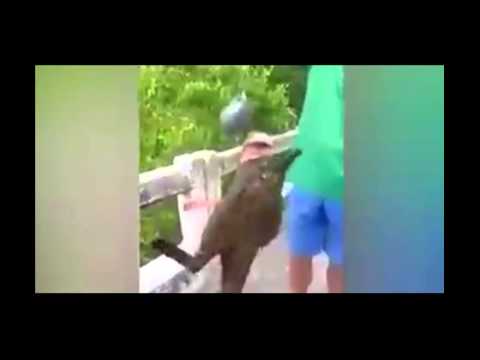 شاهد صياد تايلاندي يعثر على سمكة لها أقدام