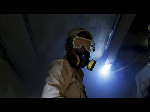 شاهد معهد باستور الفرنسي يؤكد أن زيكا يسبب شلل للإنسان