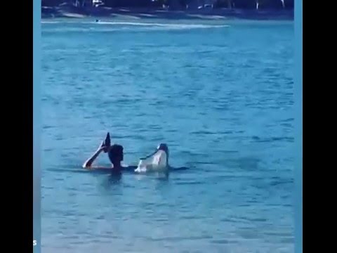 استرالى سكران يلعب فى الماء مع ثعبان سام ويقبله من فمه