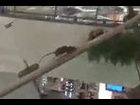 شاهد فأر يسير عكس الاتجاه على سلم كهربائي