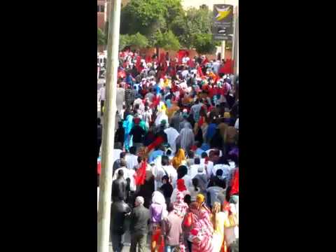 مسيرة للتنديد بتصريحات الأمين العام بان كي مون في مدينة العيون