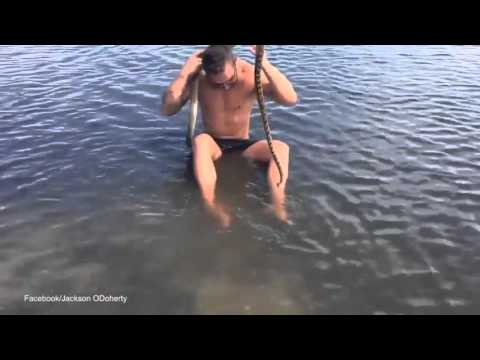 صداقة غريبة بين شاب وثعبان