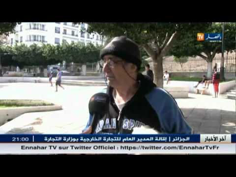 الكانيش الكلاب المدللة التي تزاحم افراد الاسرة