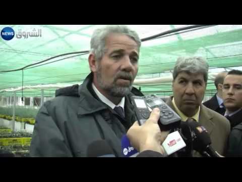 حملة لإنقاذ شجر البلوط الفليني من الزوال