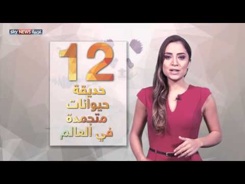 بالفيديو تعرف على بنك الحيوانات المهددة بالإنقراض