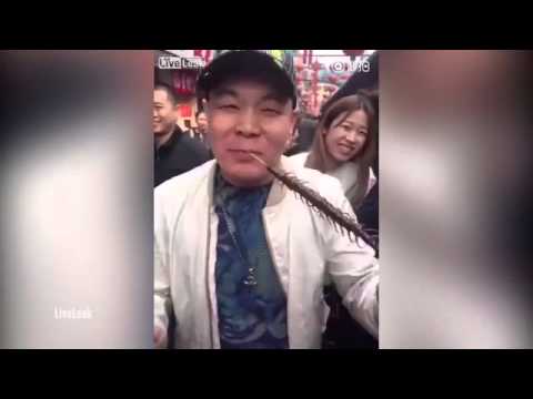 صيني يفتح شهيته ويأكل حشرة «أم أربعة وأربعين»