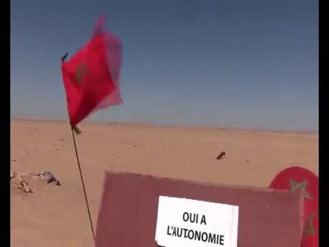 فيديو العلم المغربي يرفرف فوق مباني مخيمات تندوف