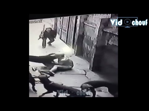 شاهد 4 كلاب تعتدي على صاحبها