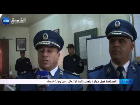 تفكيك شبكة إجرامية بحوزتها أسلحة وذخيرة ومهلوسات مختلفة