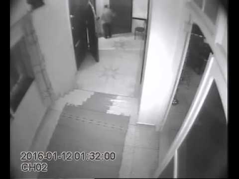 شاهد كاميرا ترصد الوحش قبيل الانقضاض على الحسناء