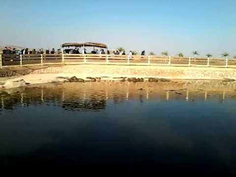 ” زينب العدوي ” تشرف على افتتاح معرض الصور “الإنسان الوردة”