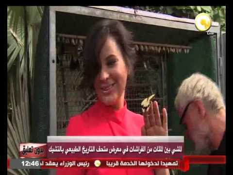 شاهد المشي بين المئات من الفراشات في معرض متحف التاريخ الطبيعي في التشيك