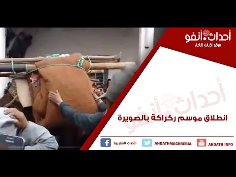 بالفيديو إنطلاق موسم ركراكة بالصويرة