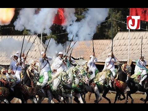 بالفيديو مهرجان ألف فرس وفرس في الفقيه بن صالح