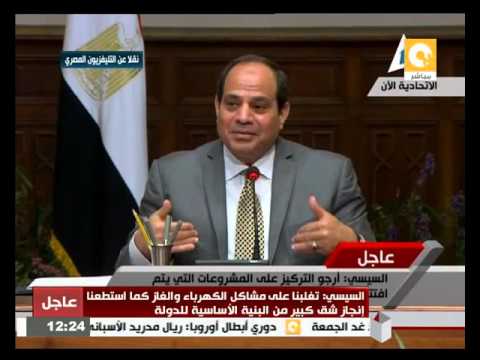 السيسي ينفي حدوث تصعيد في الأسعار بشأن السلع