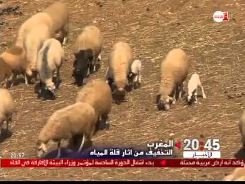 شاهد التخفيف من أثار قلة المياه بهدف المحافظة علي الثروة الحيوانية والزراعية