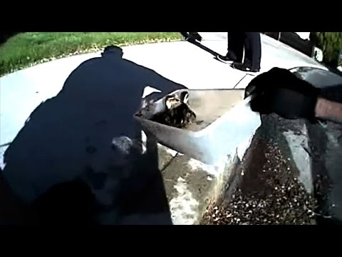 شاهد شرطي أميركي يلبي استغاثة بطة