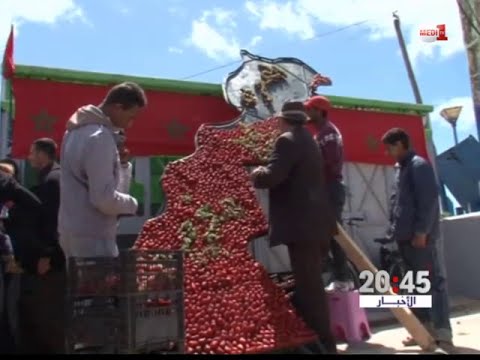 مزارعو توت الأرض يعرضون إنتاجهم في مهرجان الفراولة